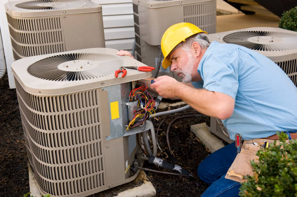 Best HVAC air duct cleaning  in Tice, FL